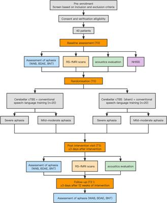 Cerebellar Continuous Theta Burst Stimulation for Aphasia Rehabilitation: Study Protocol for a Randomized Controlled Trial